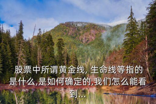  股票中所謂黃金線, 生命線等指的是什么,是如何確定的,我們?cè)趺茨芸吹?..