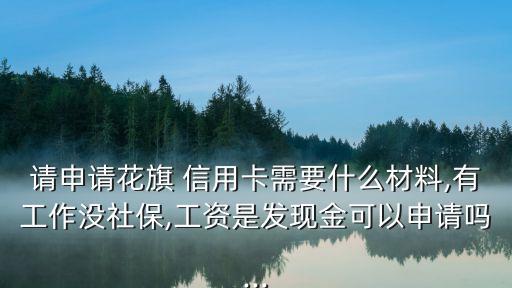 請申請花旗 信用卡需要什么材料,有工作沒社保,工資是發(fā)現(xiàn)金可以申請嗎...