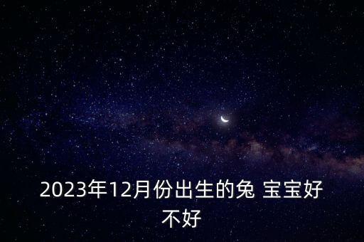 2023年12月份出生的兔 寶寶好不好