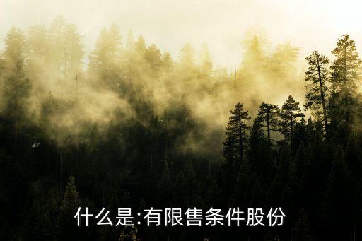 增發(fā)股票禁售期,股票增發(fā)對(duì)散戶怎么辦