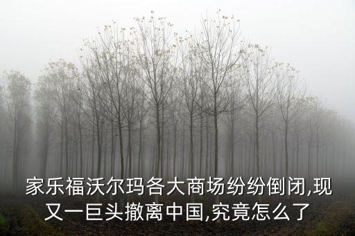 家樂(lè)福中國(guó)銷售額,無(wú)錫家樂(lè)福銷售額?