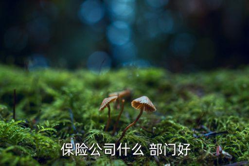  保險(xiǎn)公司什么 部門好