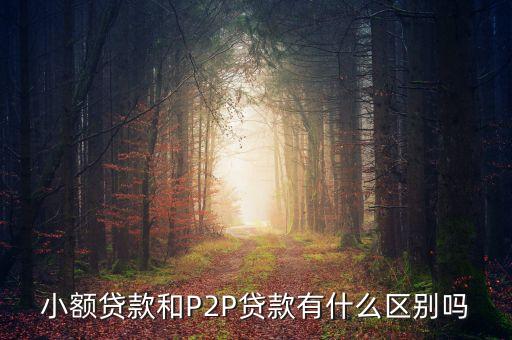 小額貸款和P2P貸款有什么區(qū)別嗎