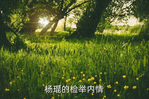 楊琨的檢舉內(nèi)情