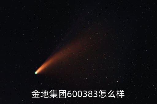 金地集團(tuán)600383怎么樣