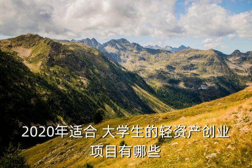 2020年適合 大學(xué)生的輕資產(chǎn)創(chuàng)業(yè)項(xiàng)目有哪些