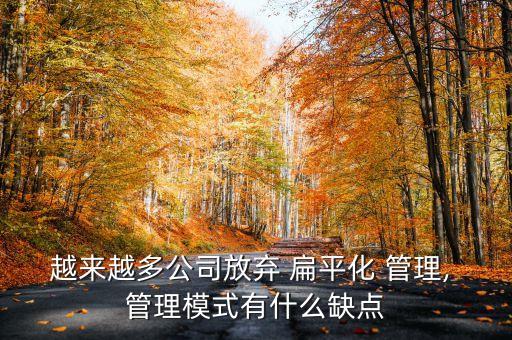 越來越多公司放棄 扁平化 管理, 管理模式有什么缺點(diǎn)