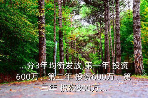 ...分3年均衡發(fā)放,第一年 投資600萬、第二年 投資600萬、第三年 投資800萬...