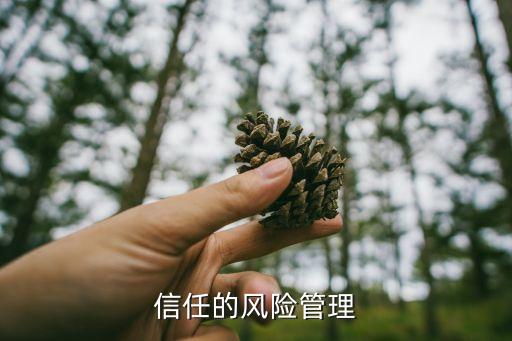 信任的風(fēng)險管理