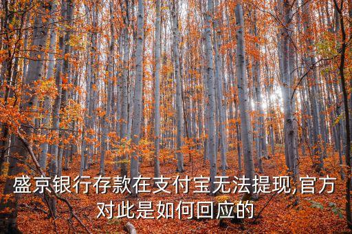 盛京銀行存款在支付寶無法提現(xiàn),官方對此是如何回應(yīng)的