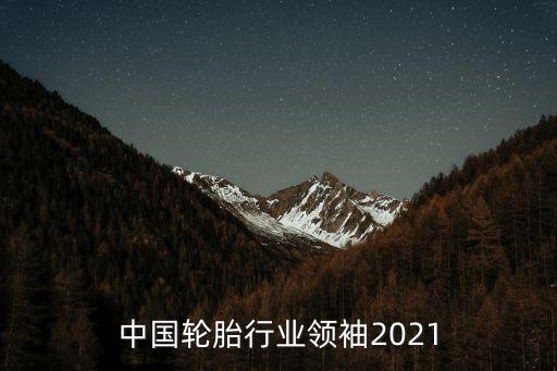 中國輪胎行業(yè)領(lǐng)袖2021