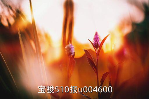  寶駿510報(bào)u004600