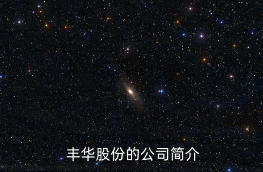  豐華股份的公司簡介