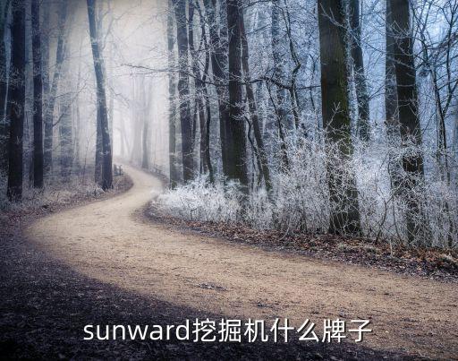 sunward挖掘機什么牌子