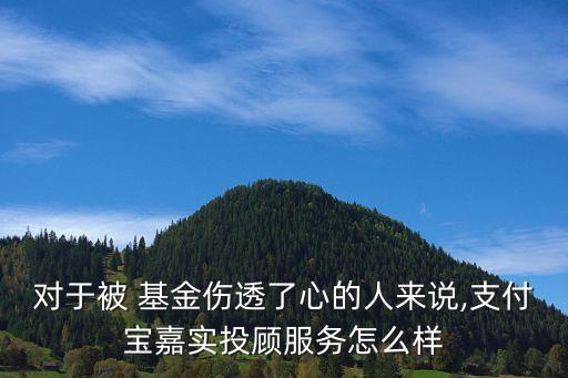 對于被 基金傷透了心的人來說,支付寶嘉實投顧服務怎么樣