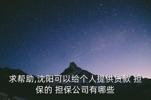 求幫助,沈陽可以給個人提供貸款 擔(dān)保的 擔(dān)保公司有哪些