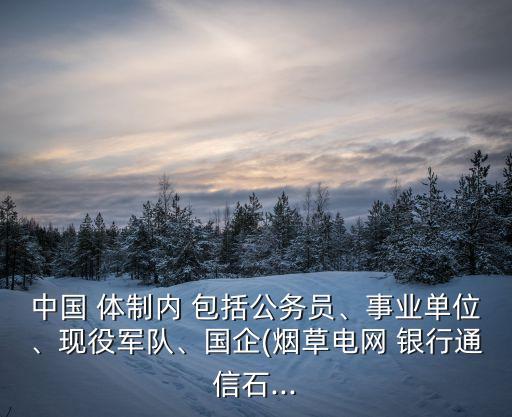 中國 體制內(nèi) 包括公務(wù)員、事業(yè)單位、現(xiàn)役軍隊、國企(煙草電網(wǎng) 銀行通信石...