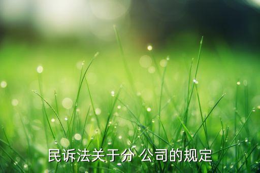 民訴法關(guān)于分 公司的規(guī)定