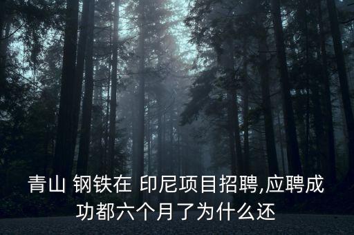 青山 鋼鐵在 印尼項目招聘,應聘成功都六個月了為什么還