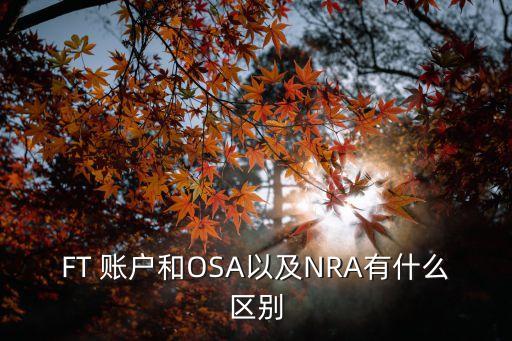 FT 賬戶(hù)和OSA以及NRA有什么區(qū)別