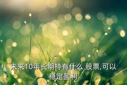 未來(lái)10年長(zhǎng)期持有什么 股票,可以穩(wěn)定盈利