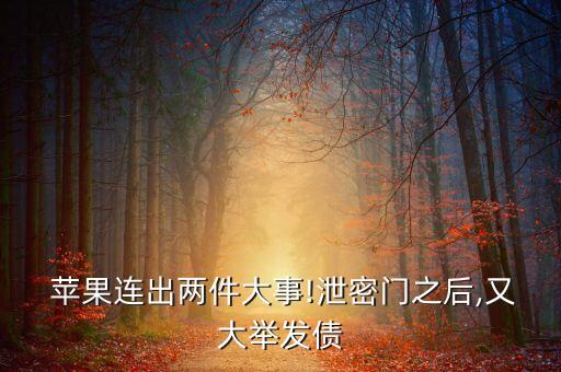 蘋(píng)果為什么回購(gòu)股票,蘋(píng)果回購(gòu)注銷了多少股票