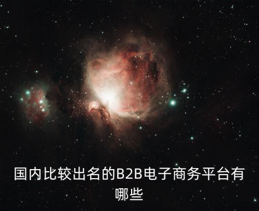 國內(nèi)比較出名的B2B電子商務(wù)平臺有哪些