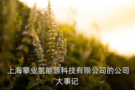  上海攀業(yè)氫能源科技有限公司的公司大事記