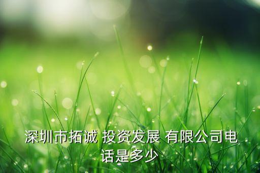  深圳市拓誠(chéng) 投資發(fā)展 有限公司電話(huà)是多少