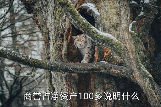  商譽占凈資產100多說明什么