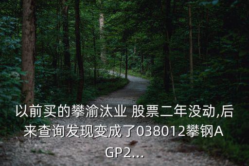 以前買的攀渝汰業(yè) 股票二年沒動,后來查詢發(fā)現(xiàn)變成了038012攀鋼AGP2...