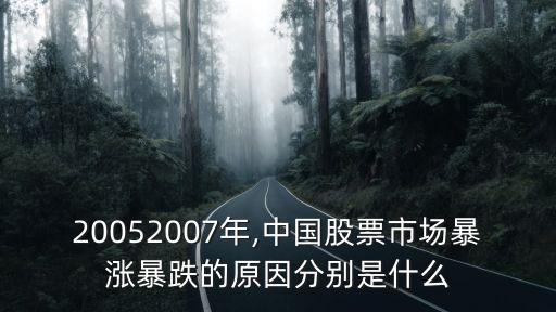 20052007年,中國股票市場(chǎng)暴漲暴跌的原因分別是什么