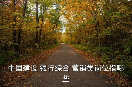 中國建設(shè) 銀行綜合 營(yíng)銷類崗位指哪些