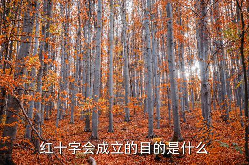 紅十字會(huì)成立的目的是什么