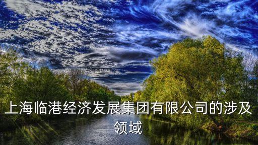 上海臨港經(jīng)濟(jì)發(fā)展集團(tuán)有限公司的涉及領(lǐng)域