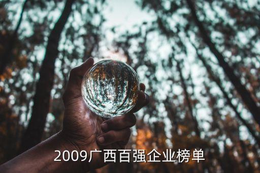 2009廣西百?gòu)?qiáng)企業(yè)榜單