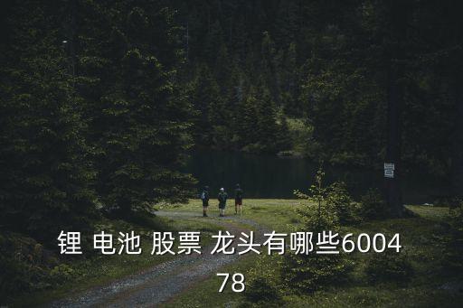 鋰 電池 股票 龍頭有哪些600478