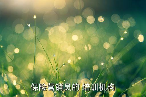 保險(xiǎn)營(yíng)銷(xiāo)員的 培訓(xùn)機(jī)構(gòu)