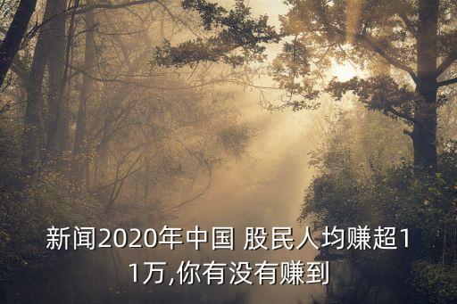 新聞2020年中國(guó) 股民人均賺超11萬(wàn),你有沒有賺到