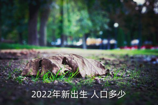 2022年新出生 人口多少