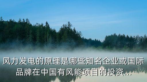 風(fēng)力發(fā)電的原理是哪些知名企業(yè)或國際品牌在中國有風(fēng)能項目的投資...