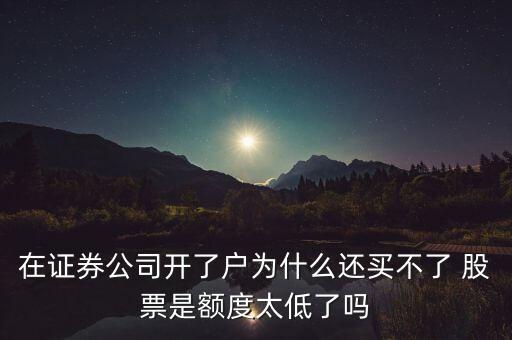 在證券公司開了戶為什么還買不了 股票是額度太低了嗎