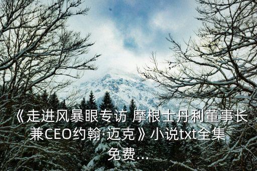 《走進風暴眼專訪 摩根士丹利董事長兼CEO約翰·邁克》小說txt全集免費...