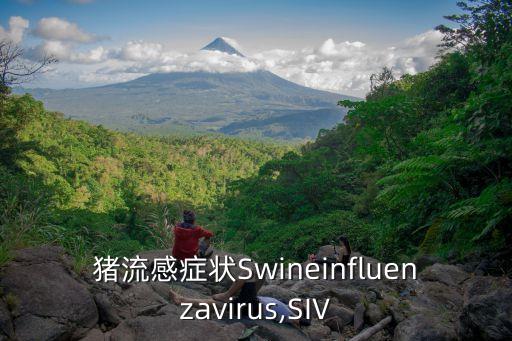 豬流感癥狀Swineinfluenzavirus,SIV