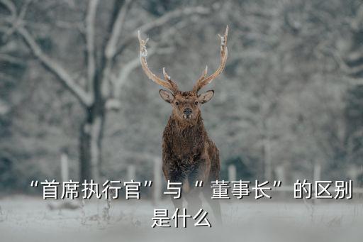 “首席執(zhí)行官”與“ 董事長(zhǎng)”的區(qū)別是什么