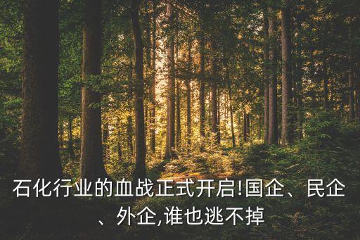 石化行業(yè)的血戰(zhàn)正式開啟!國企、民企、外企,誰也逃不掉