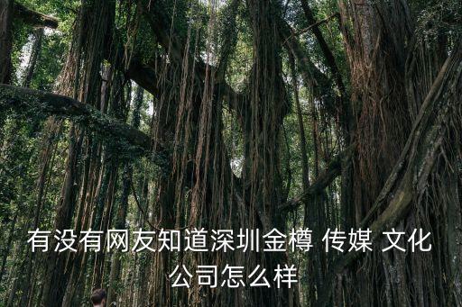 有沒有網(wǎng)友知道深圳金樽 傳媒 文化 公司怎么樣