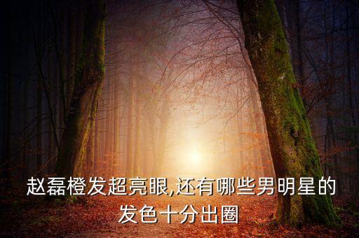  趙磊橙發(fā)超亮眼,還有哪些男明星的發(fā)色十分出圈