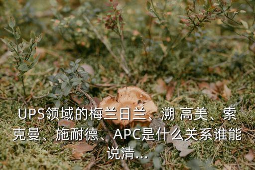 UPS領(lǐng)域的梅蘭日蘭、溯 高美、索克曼、施耐德、APC是什么關(guān)系誰(shuí)能說(shuō)清...