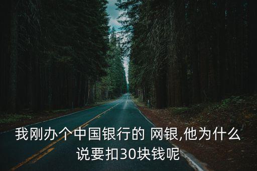 我剛辦個(gè)中國(guó)銀行的 網(wǎng)銀,他為什么說(shuō)要扣30塊錢呢